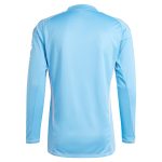 aston villa adidas goalkeeper shirt 2024-25 – long sleeve – 201964005 with custom printing Collection | Authentic Aston Villa Shirts