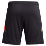 aston villa adidas goalkeeper shorts 2024-25 – 201964002 with custom printing Collection | Authentic Aston Villa Shirts