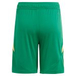 aston villa adidas goalkeeper shorts 2024-25 – 201964010 Collection | Authentic Aston Villa Shirts