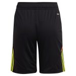aston villa adidas goalkeeper shorts 2024-25 – kids – 201964004 with custom printing Collection | Authentic Aston Villa Shirts