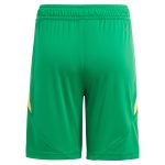 aston villa adidas goalkeeper shorts 2024-25 – kids – 201964012 with custom printing Collection | Authentic Aston Villa Shirts