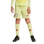 aston villa adidas goalkeeper shorts 2025-26 – kids with custom printing Collection | Authentic Aston Villa Shirts