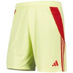 aston villa adidas goalkeeper shorts 2025-26 with custom printing Collection | Authentic Aston Villa Shirts