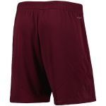 aston villa adidas home change shorts 2024-25 with custom printing Collection | Authentic Aston Villa Shirts