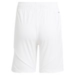 aston villa adidas home shorts 2024-25 with custom printing Collection | Authentic Aston Villa Shirts