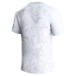 aston villa castore away shirt 2023-24 with custom printing Collection | Authentic Aston Villa Shirts